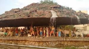 virandava images